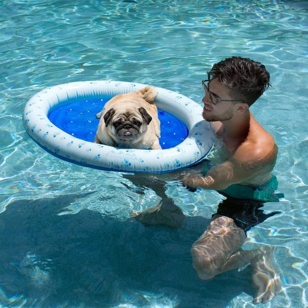 Dog on sales float in pool