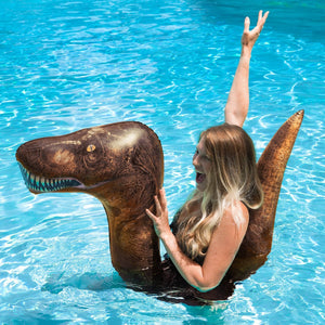 Inflatable T-Rex Pool Ride On Noodle