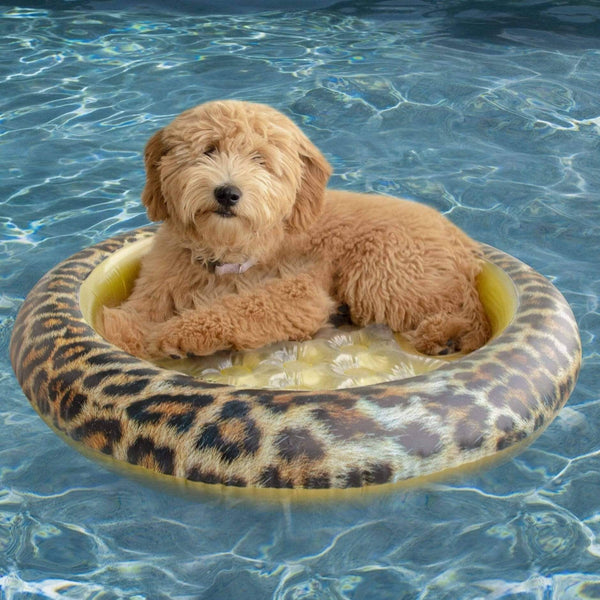 Inflatable Pet Float Safari Print PoolCandy